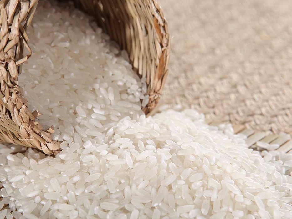 有机大米之大米的重要作用